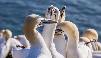 国金证券10月11日获融资买入1.29亿元，融资余额19.61亿元