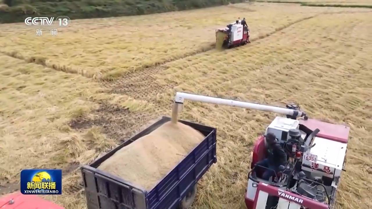 新思想引领新征程丨绘就乡村全面振兴壮美画卷