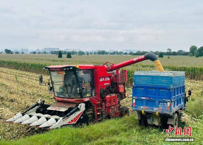 “中原粮仓”河南秋收抢“天时” 秋作物收获已近八成