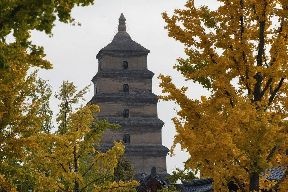 曲江文旅15亿流动负债压顶，年内五次进行股份拍卖，上半年营收下滑30%
