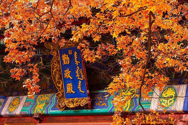 霜降已到,全国红叶上线中!这些“出片宝地”藏不住了