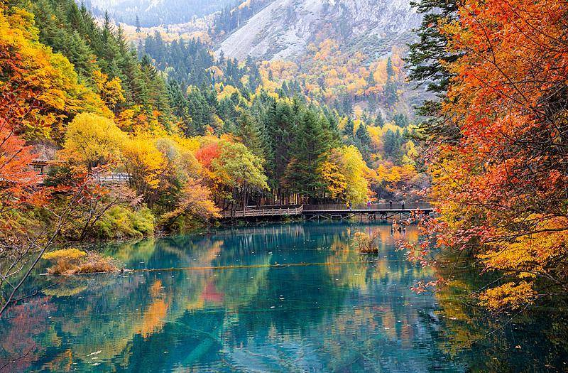 霜降已到,全国红叶上线中!这些“出片宝地”藏不住了