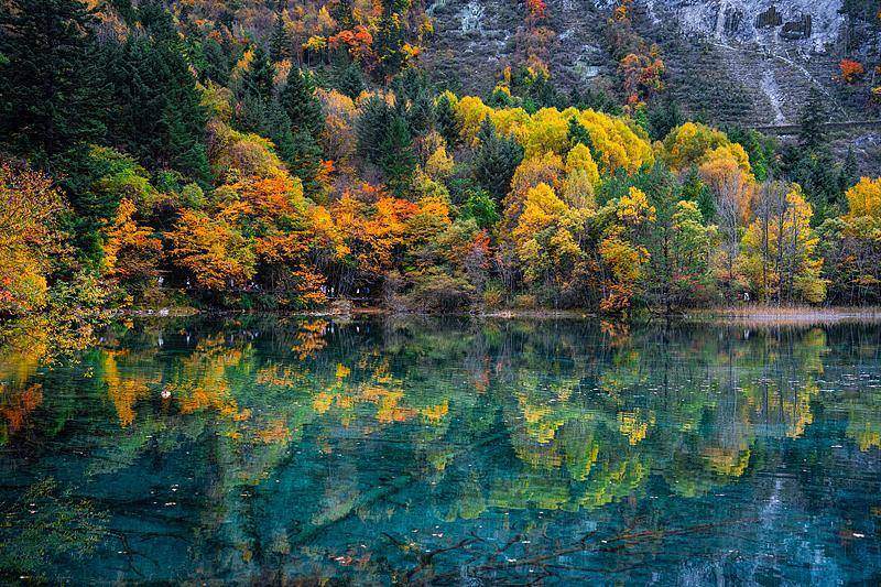 霜降已到,全国红叶上线中!这些“出片宝地”藏不住了
