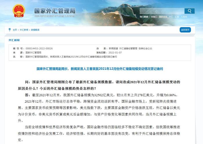 外汇申报网站(外汇申报网上服务平台)