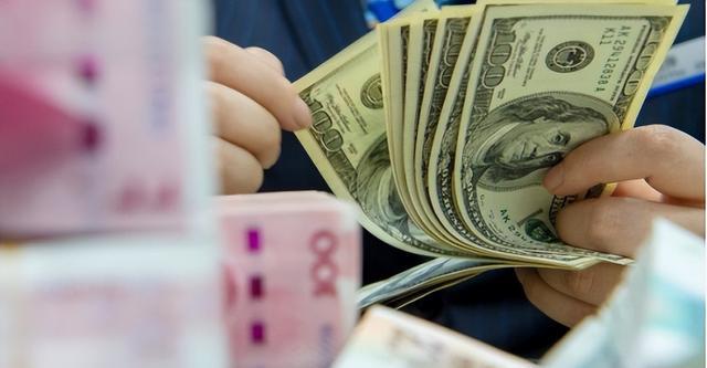 外汇中央银行(外汇中央银行业务包括)