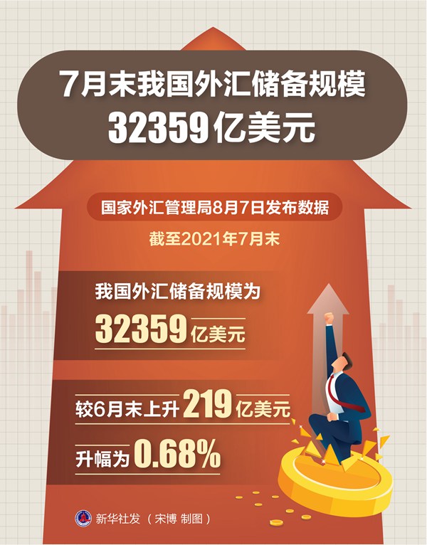 国家为什么储备外汇(国家为什么储备外汇这么少)