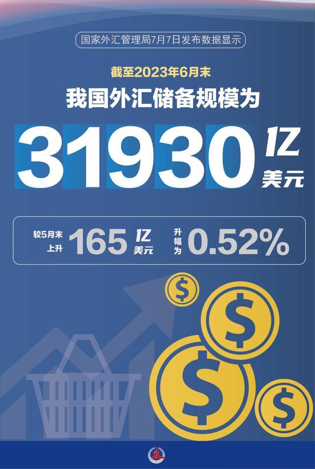 国家为什么储备外汇(国家为什么储备外汇这么少)