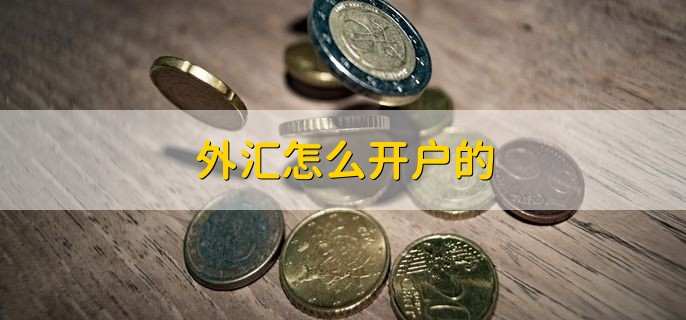 个人买外汇(个人可以随意购汇吗)