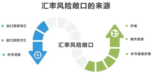 外汇损益(外汇损益的波动)