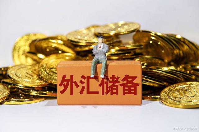 外汇中央银行(中央银行在外汇市场上的作用)