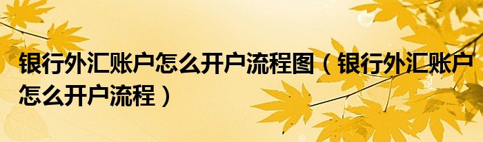 外汇审批(外汇审批通过需要国内二审吗多久)