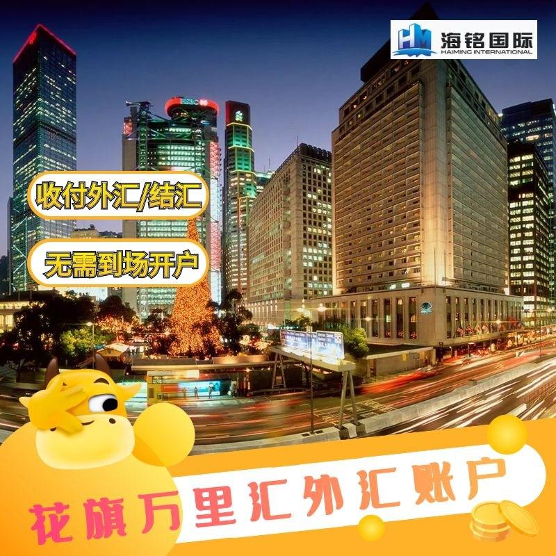 办理外汇账户(离岸账户打美金到个人)