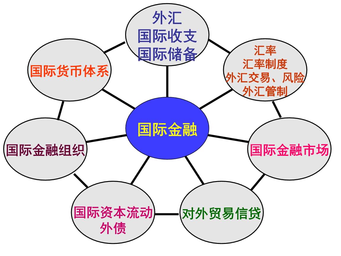 外汇监管系统(外汇监测系统分类结果查询为C类)