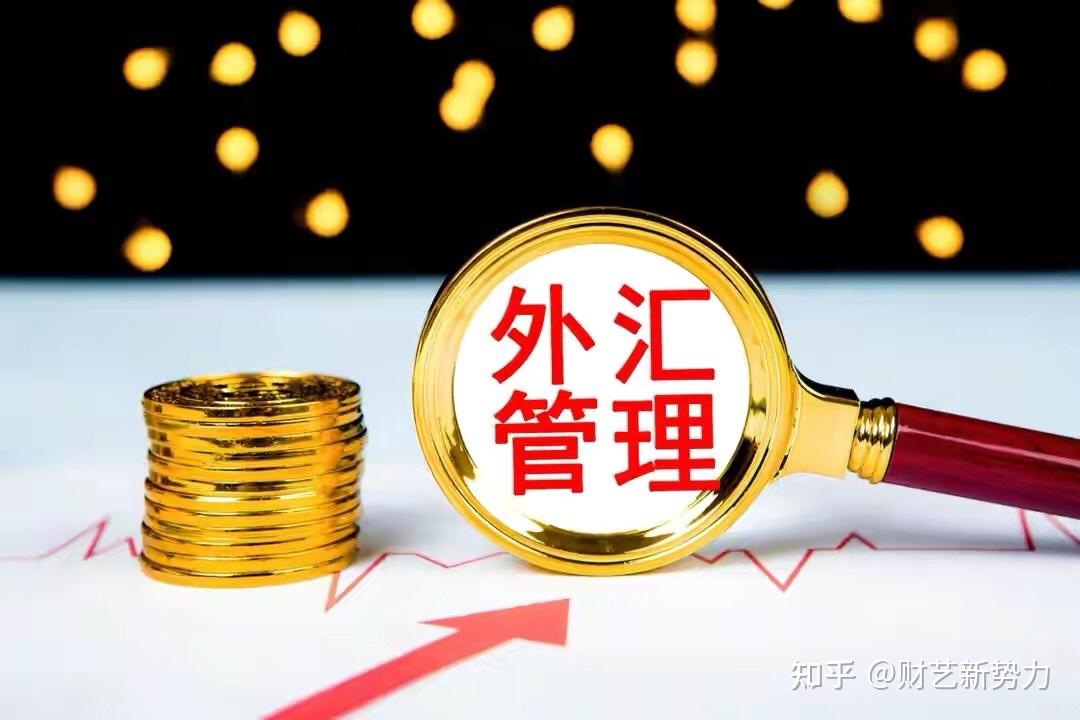 公司付外汇(只进口不付外汇合法吗)