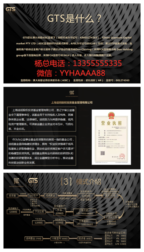 gts外汇平台(gts外汇平台正规吗)
