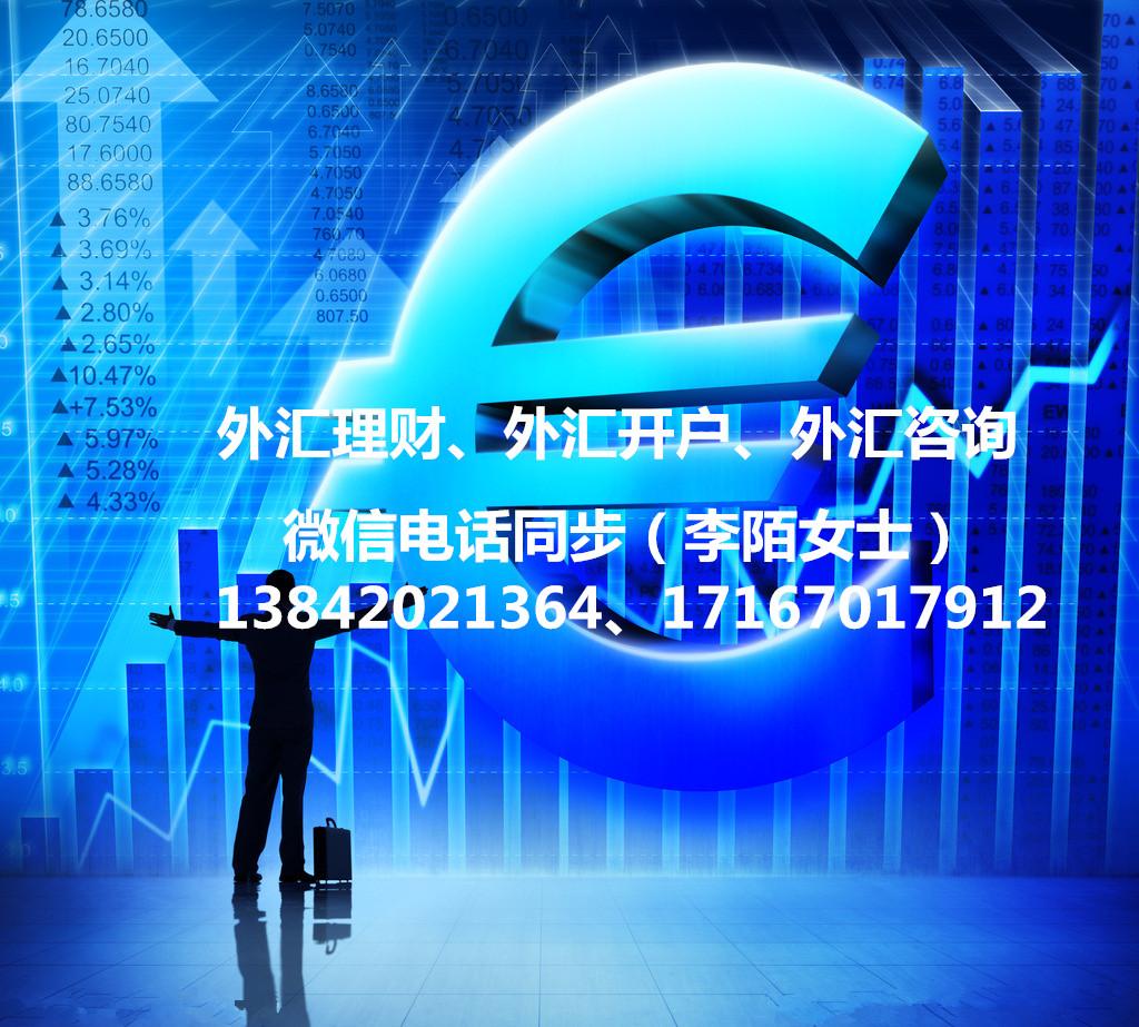 外汇金融公司(外汇金融公司主要负责什么)