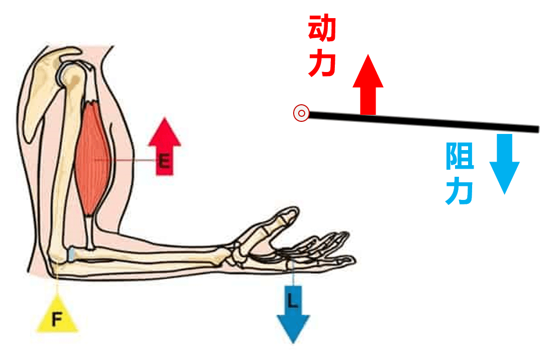 炒外汇的杠杆(炒外汇的杠杆是什么意思)