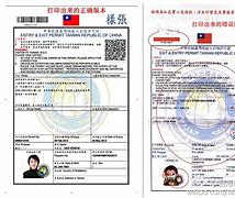 携带外汇出境许可证(携带外汇出境许可证遗失)
