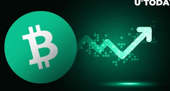 BCH-比特现金交易平台(比特现金bch升级最新消息)