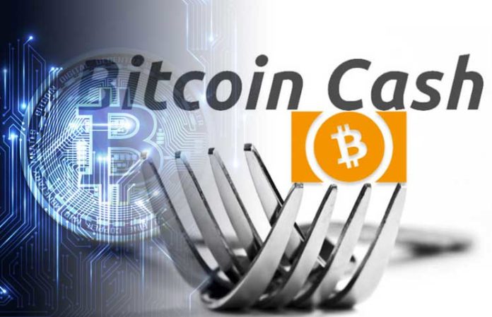 比特现金交易所(btc交易平台官网)