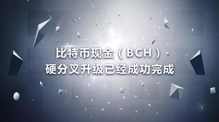 关于BCH-比特现金交易app的信息