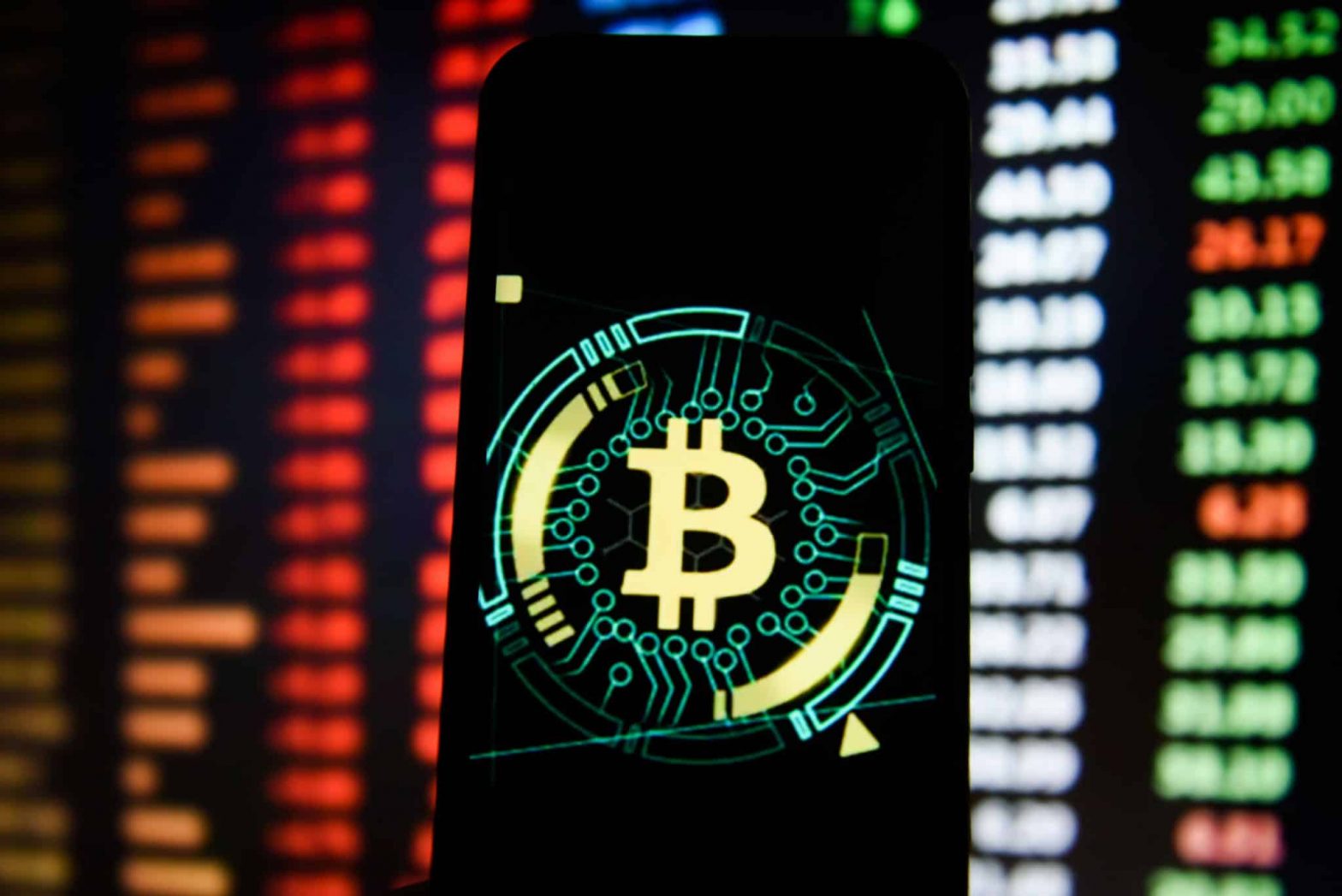 比特现金交易所(比特现金交易所世界排名)
