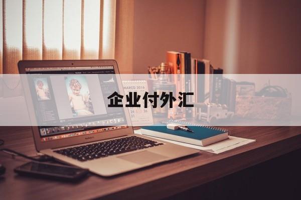 企业付外汇(企业付外汇需要什么资料)